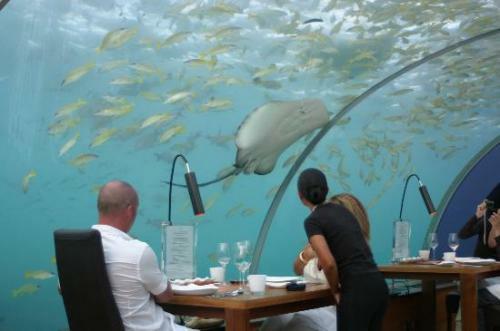Shangrala's Undersea Restaurant