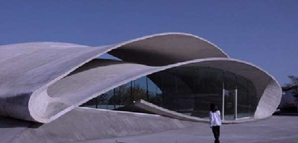 Amazing Bus Stops
