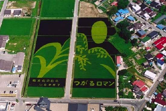 Shangrala's Japan Crop Art