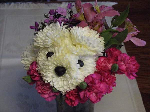 Shangrala's Flower Dog Art