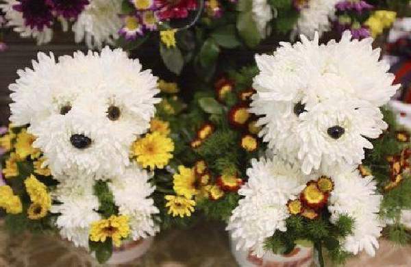 Shangrala's Flower Dog Art