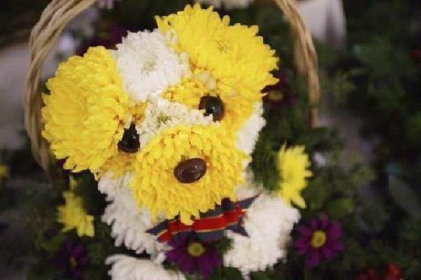 Shangrala's Flower Dog Art