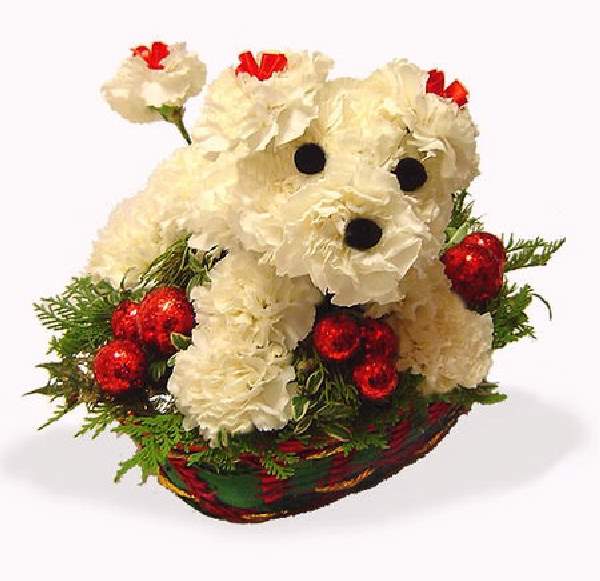 Shangrala's Flower Dog Art