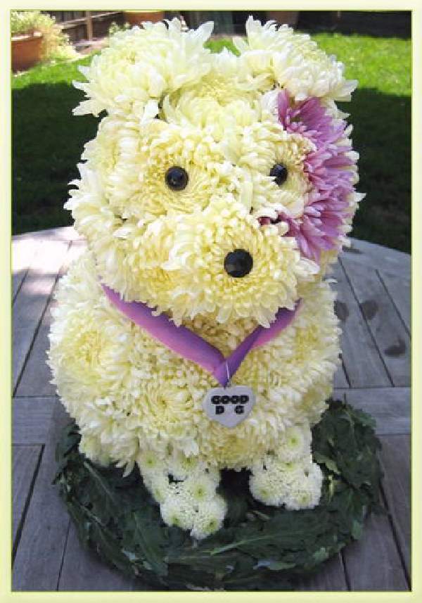 Shangrala's Flower Dog Art