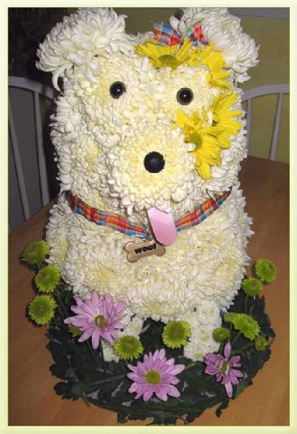 Shangrala's Flower Dog Art