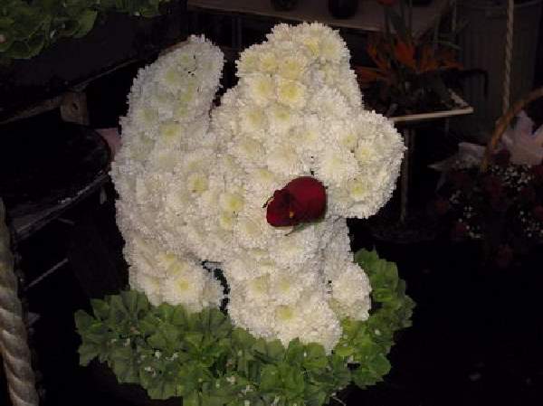 Shangrala's Flower Dog Art