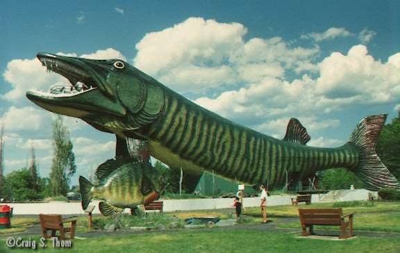 Pics Photos - What Is The World S Largest Fish The Smallest