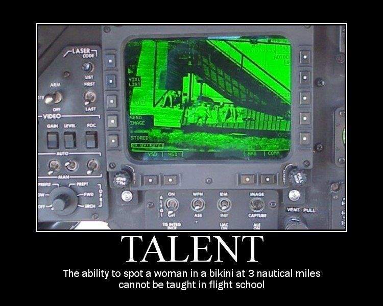 Shangrala's Military Motivational Posters