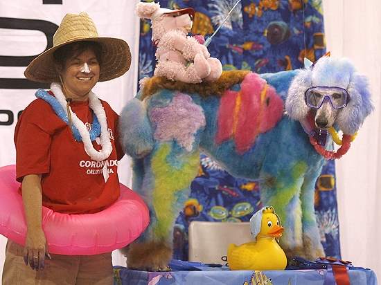 Shangrala's Extreme Poodle Makeover