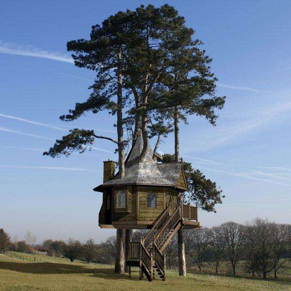 Shangrala's World's Best Treehouses