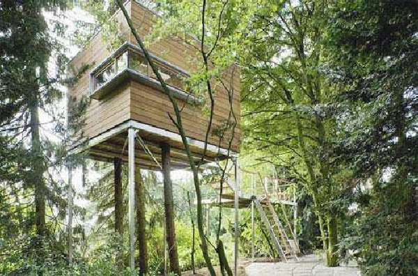 Shangrala's Awesome Tree Houses