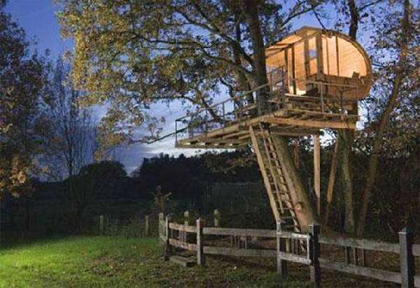 Shangrala's Awesome Tree Houses