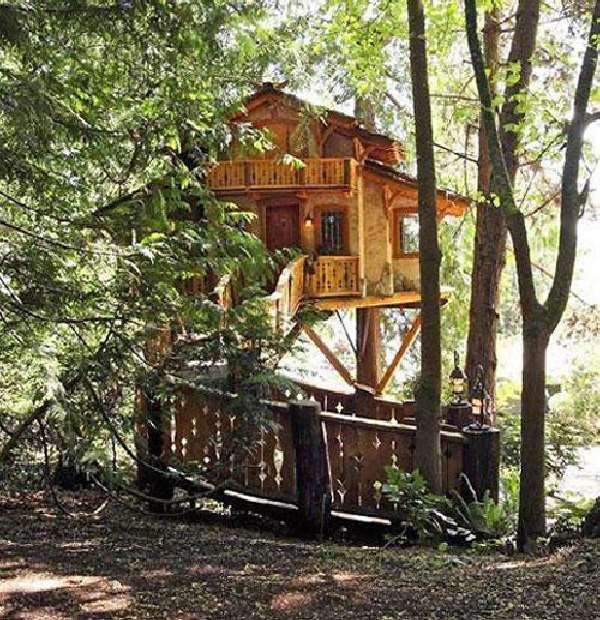 Shangrala's Awesome Tree Houses