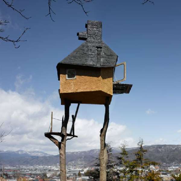 Shangrala's Awesome Tree Houses