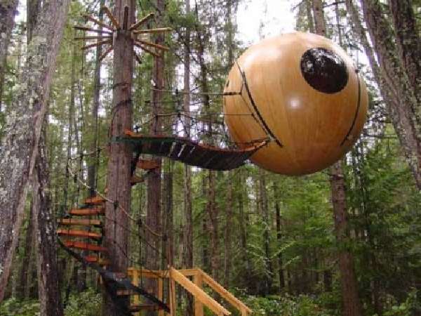 Shangrala's Awesome Tree Houses