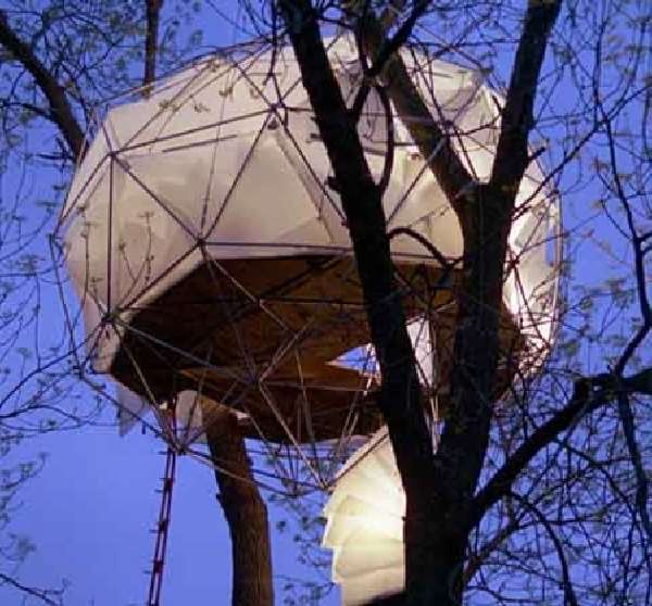 Shangrala's Awesome Tree Houses