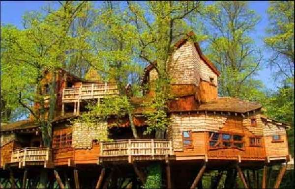 Shangrala's Awesome Tree Houses