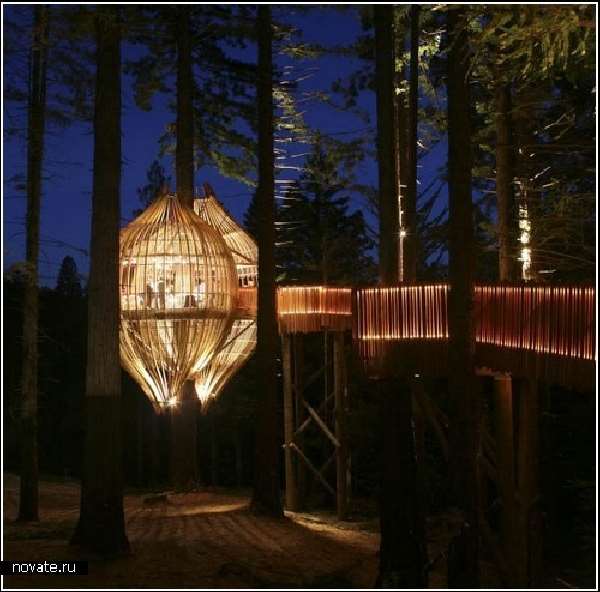 Shangrala's Awesome Tree Houses