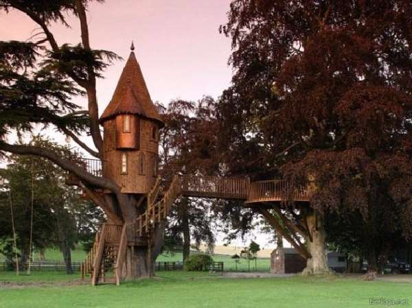 Shangrala's Awesome Tree Houses