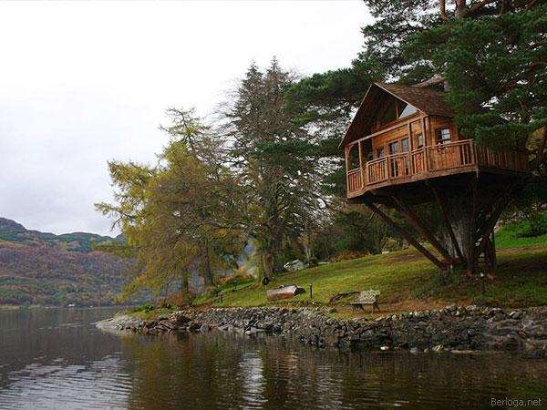 Shangrala's Awesome Tree Houses