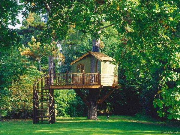 Shangrala's Awesome Tree Houses