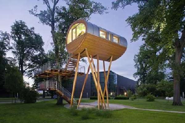 Shangrala's Awesome Tree Houses