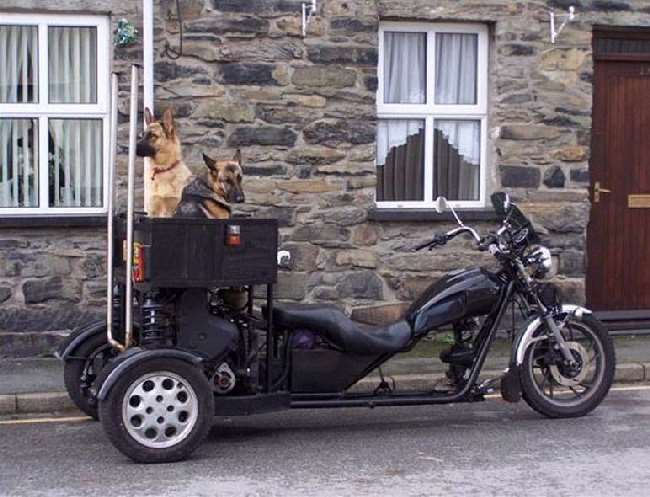 Shangrala's Awesome Bikes