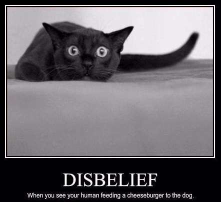 Shangrala's Cat Motivational Posters
