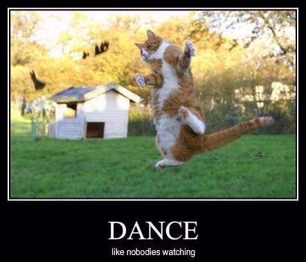 Shangrala's Cat Motivational Posters