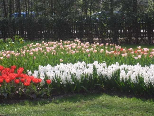 Shangrala's Keukenhof Gardens