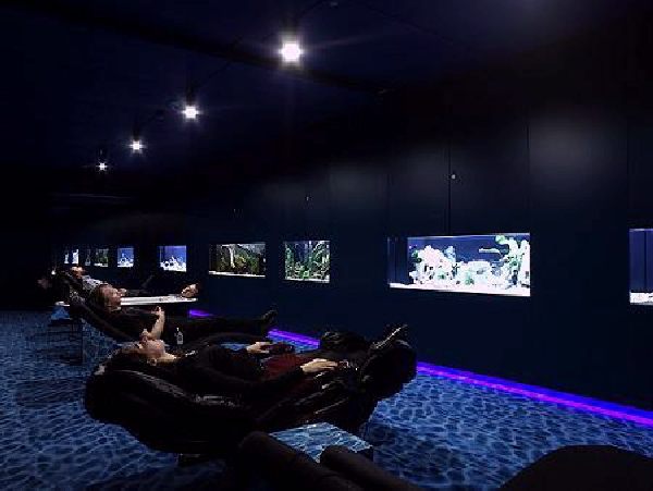 Shangrala's Inside Google