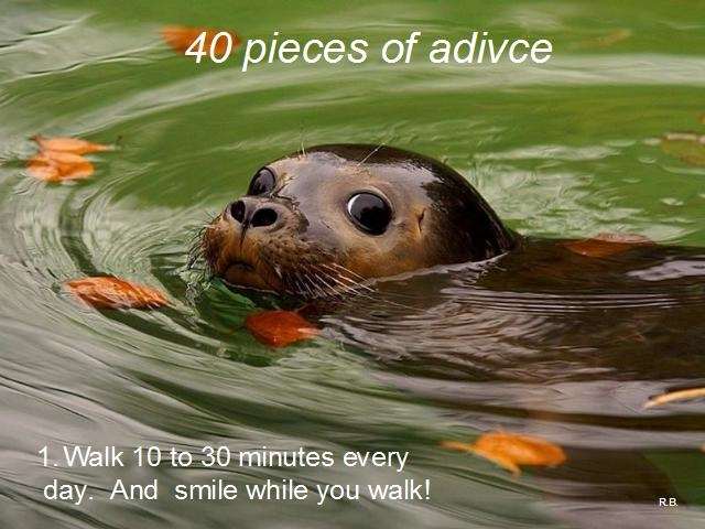 Shangrala's Advice For Living