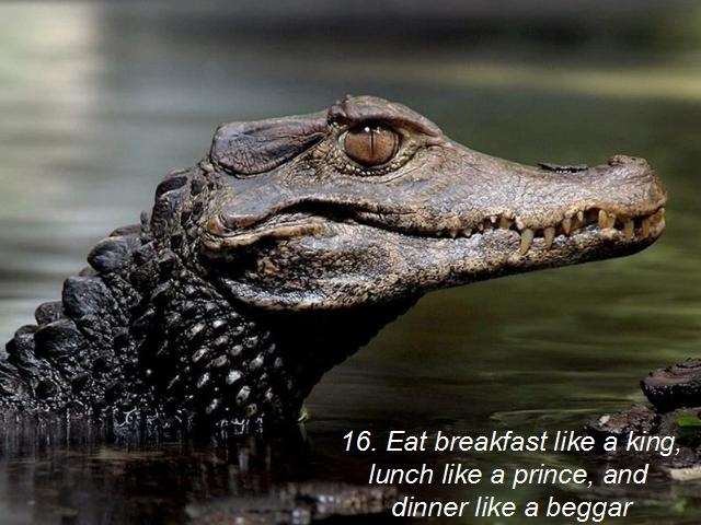 Shangrala's Advice For Living