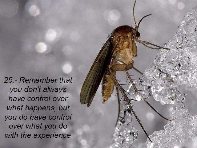 Shangrala's Advice For Living Part 2