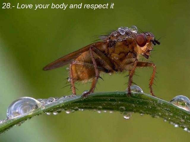Shangrala's Advice For Living Part 2