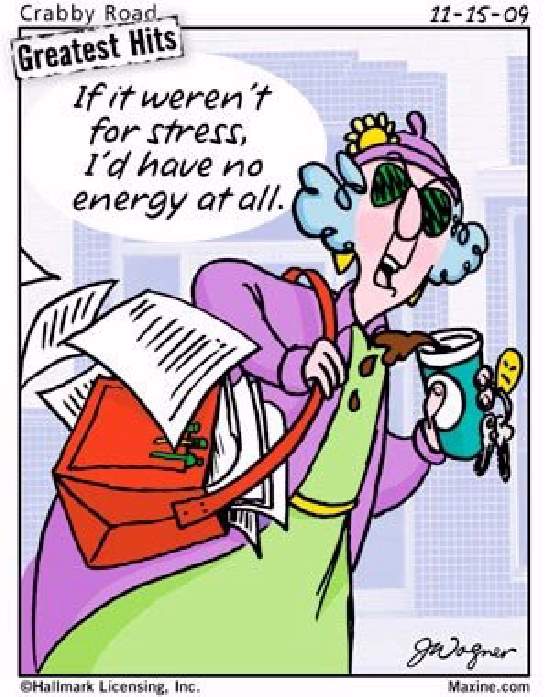 Shangrala's Maxine On Holidays