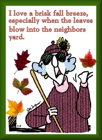 Shangrala's Maxine On Fall