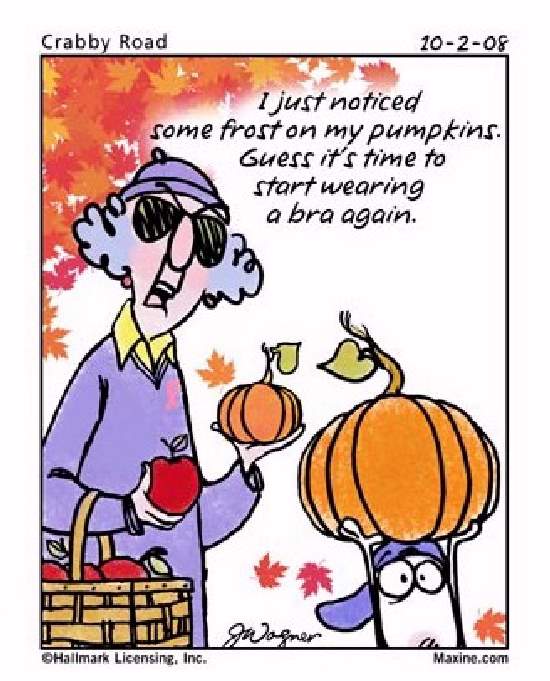 Shangrala's Maxine On Fall