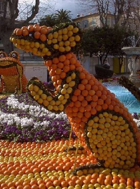 Shangrala's Festival Of Citrus