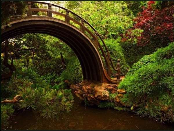 Shangrala's Beautiful Bridges 2