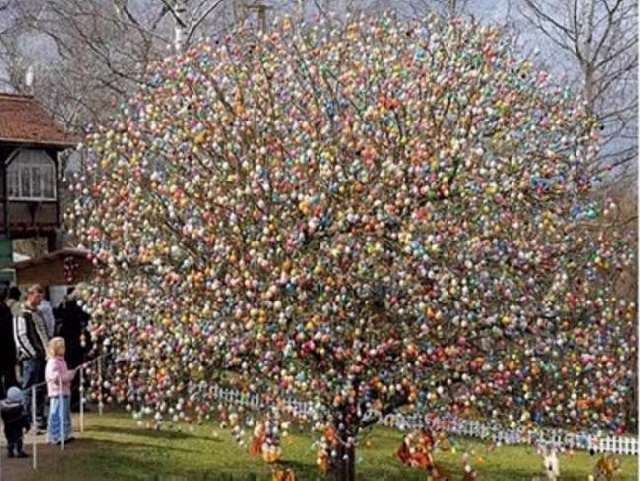 Shangrala's Volker's Easter Tree