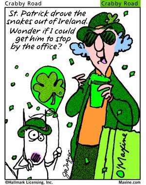 Shangrala's Maxine On St.Patrick's Day