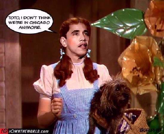 Shangrala's Political Humor 8