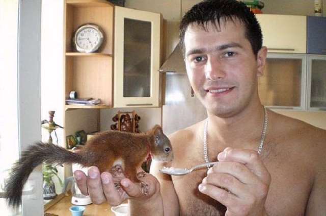 Shangrala's Rescued Squirrel