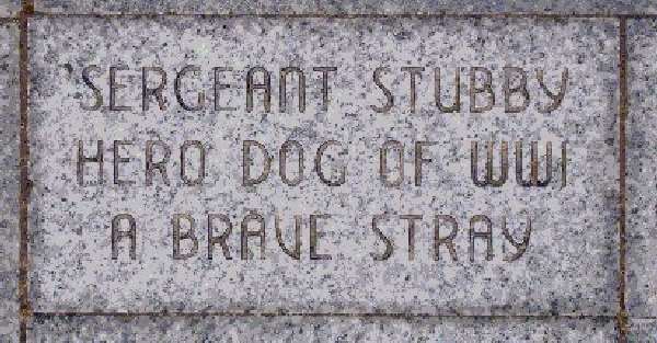 Shangrala's                                                           Sgt. Stubby                                                           War Dog Hero