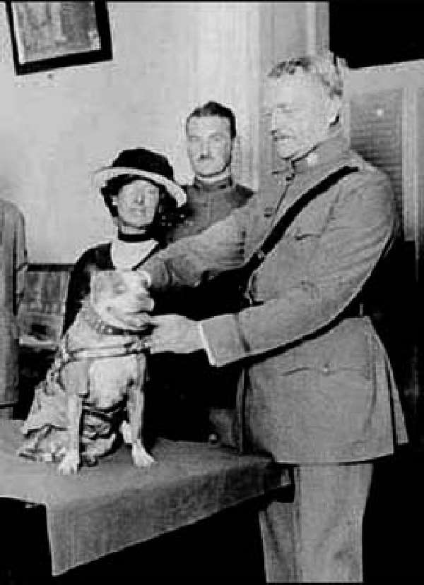 Shangrala's                                                           Sgt. Stubby                                                           War Dog Hero