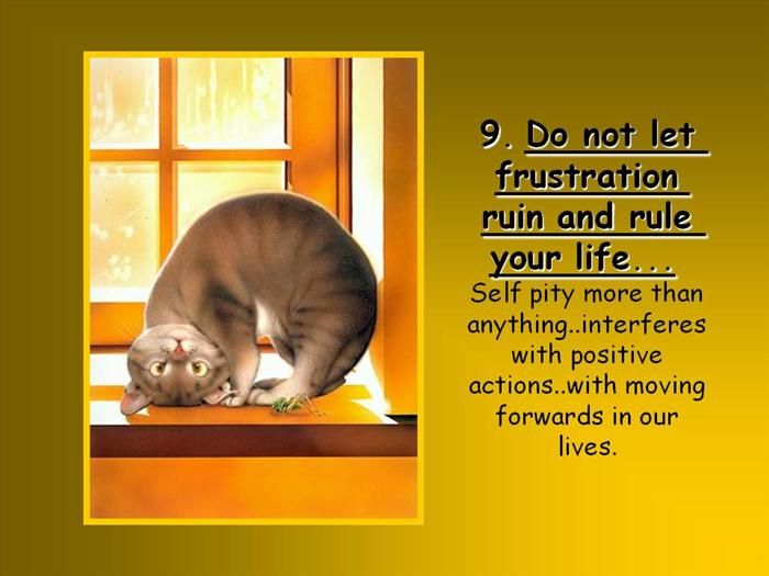 Shangrala's Ten Tips For Living