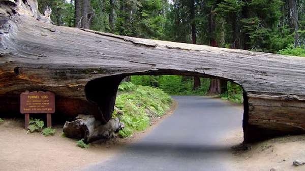 Shangrala's World's Unusual Tunnels