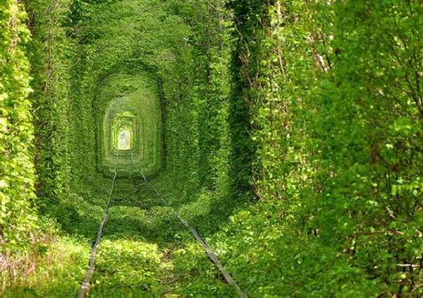 Shangrala's World's Unusual Tunnels