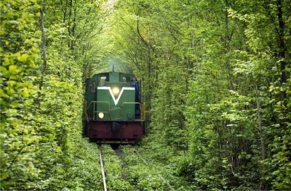 Shangrala's World's Unusual Tunnels